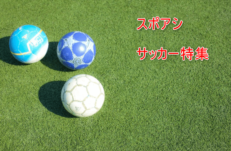 サッカーの参考画像