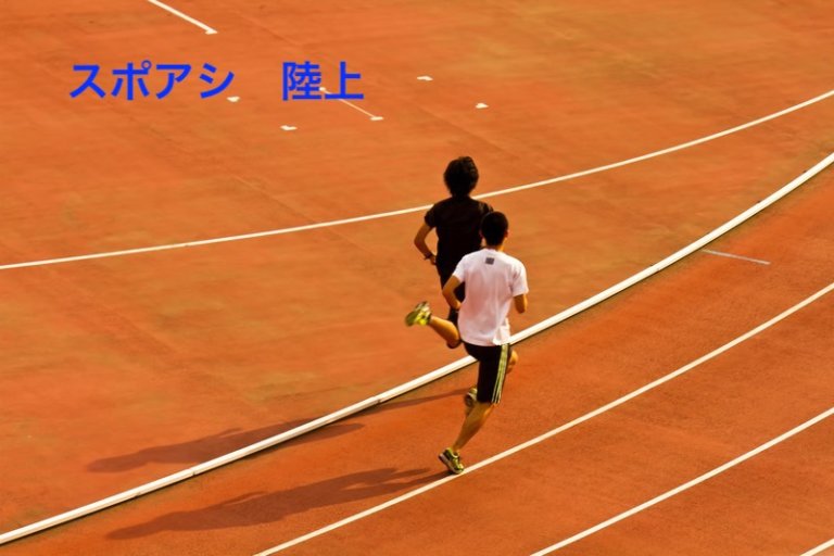 陸上競技に関する参考画像